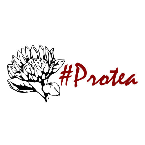 #Protea Vellie