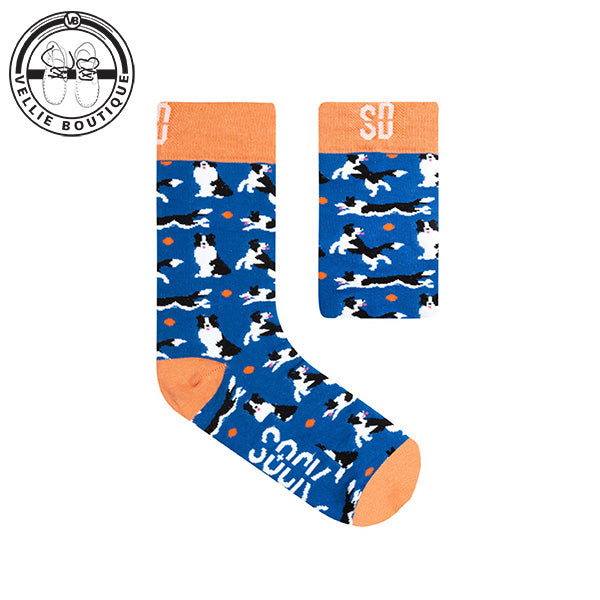 Sock Doctor - Fetch