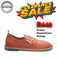 #Protea Kamieskroon (Orange) [670001]