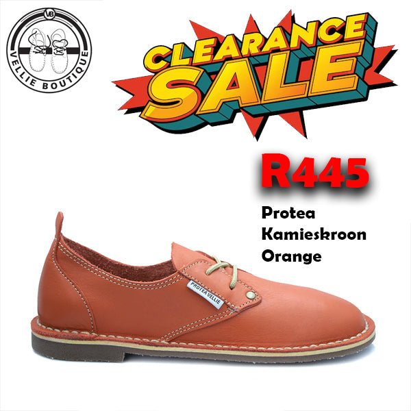 #Protea Kamieskroon (Orange) [670001]