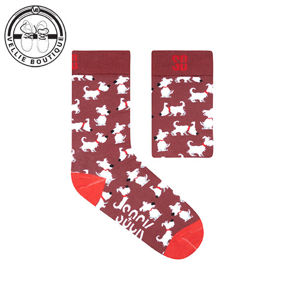 Sock Doctor - Sniffer