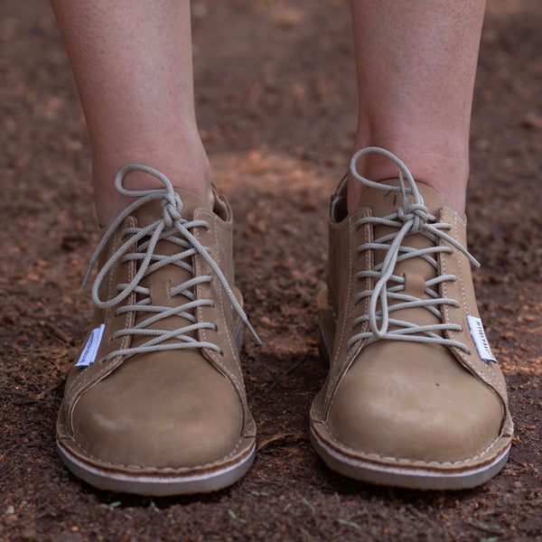 #Protea Suikerbossie (Tan)