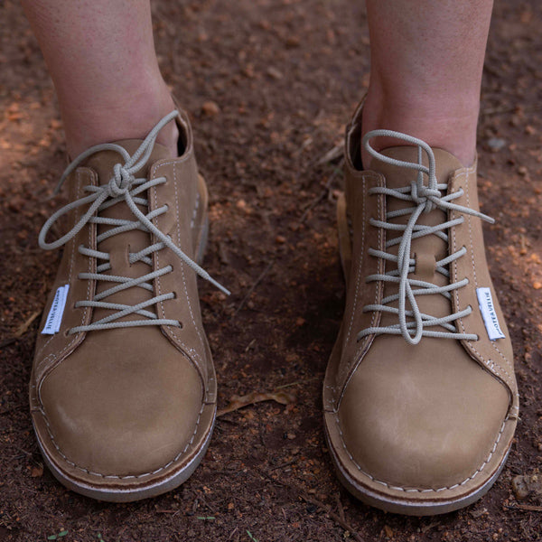 #Protea Suikerbossie (Tan)