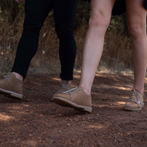 #Protea Suikerbossie (Tan)