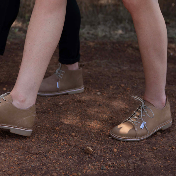 #Protea Suikerbossie (Tan)