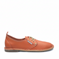 HS #Protea Loerie (Orange) [660001]