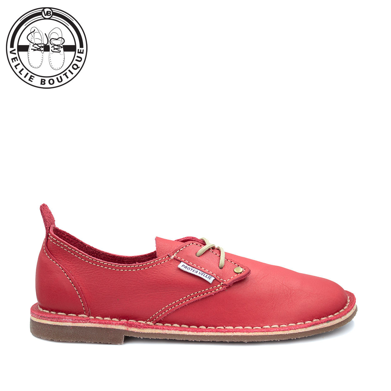 #Protea Kamieskroon (Texas Red)