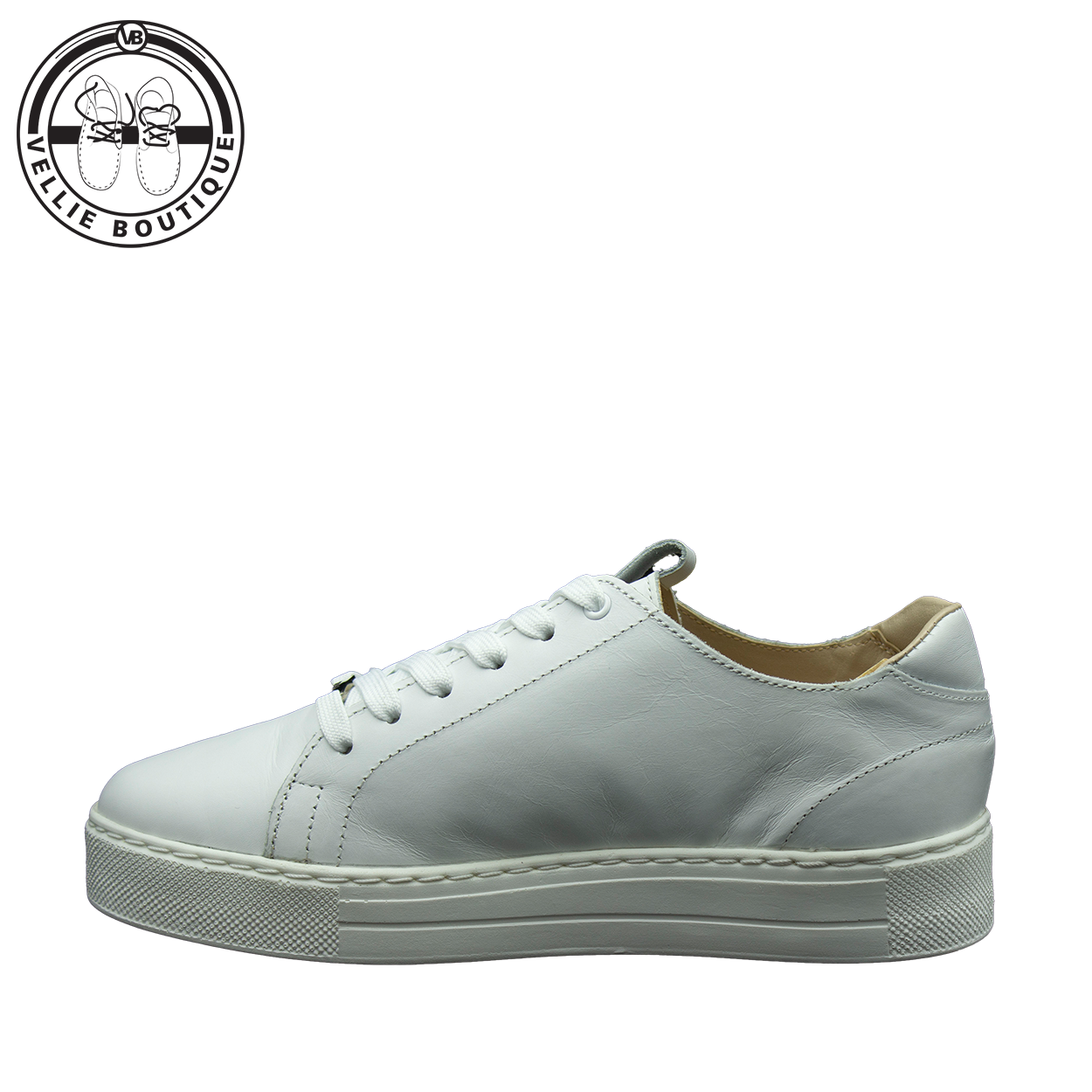 Angelsoft Cindy Lace-Up Leather Sneaker (White) [1964]