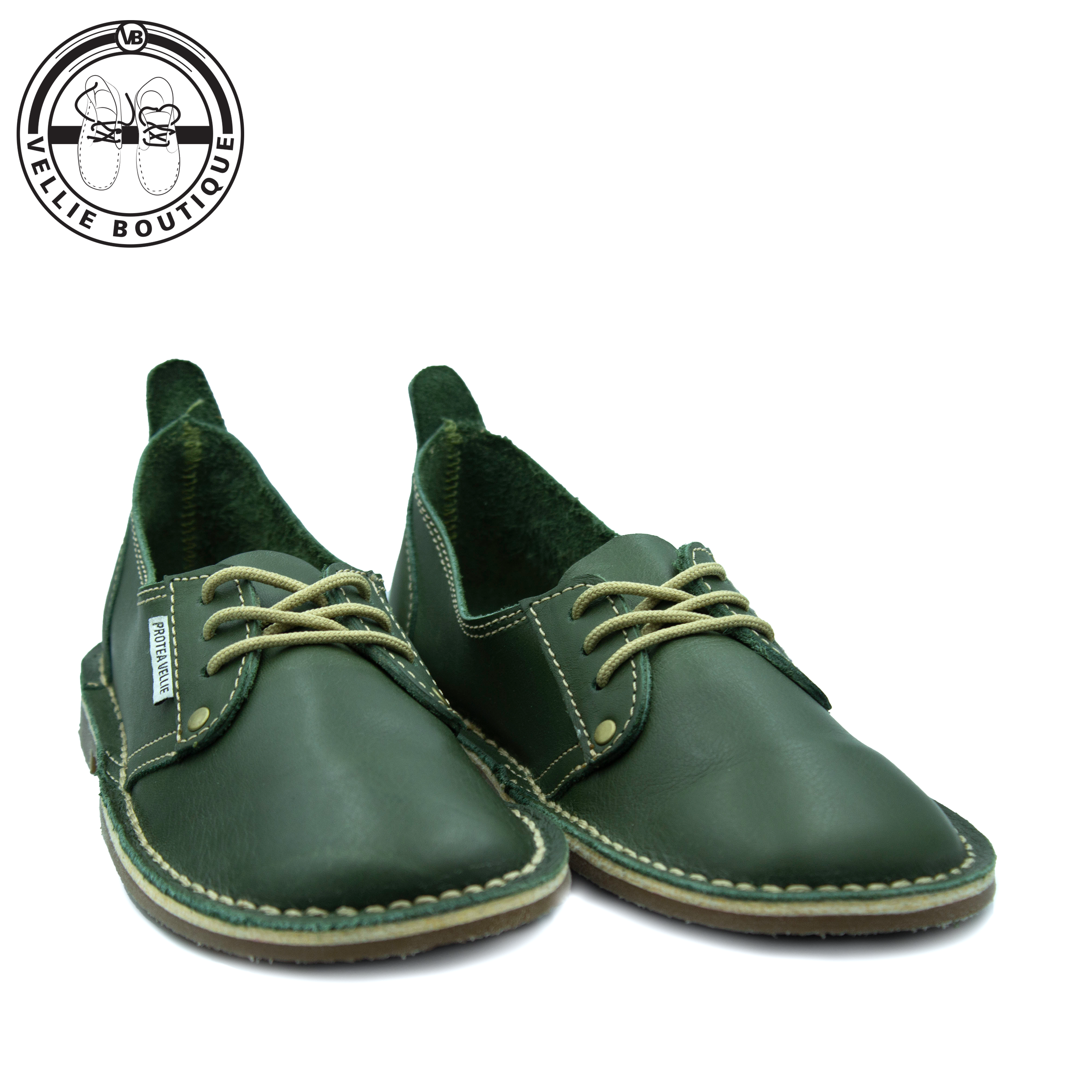 #Protea Kamieskroon (Moss Green)