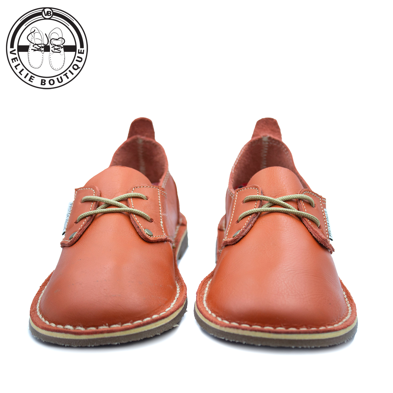 #Protea Kamieskroon (Orange) [670001]