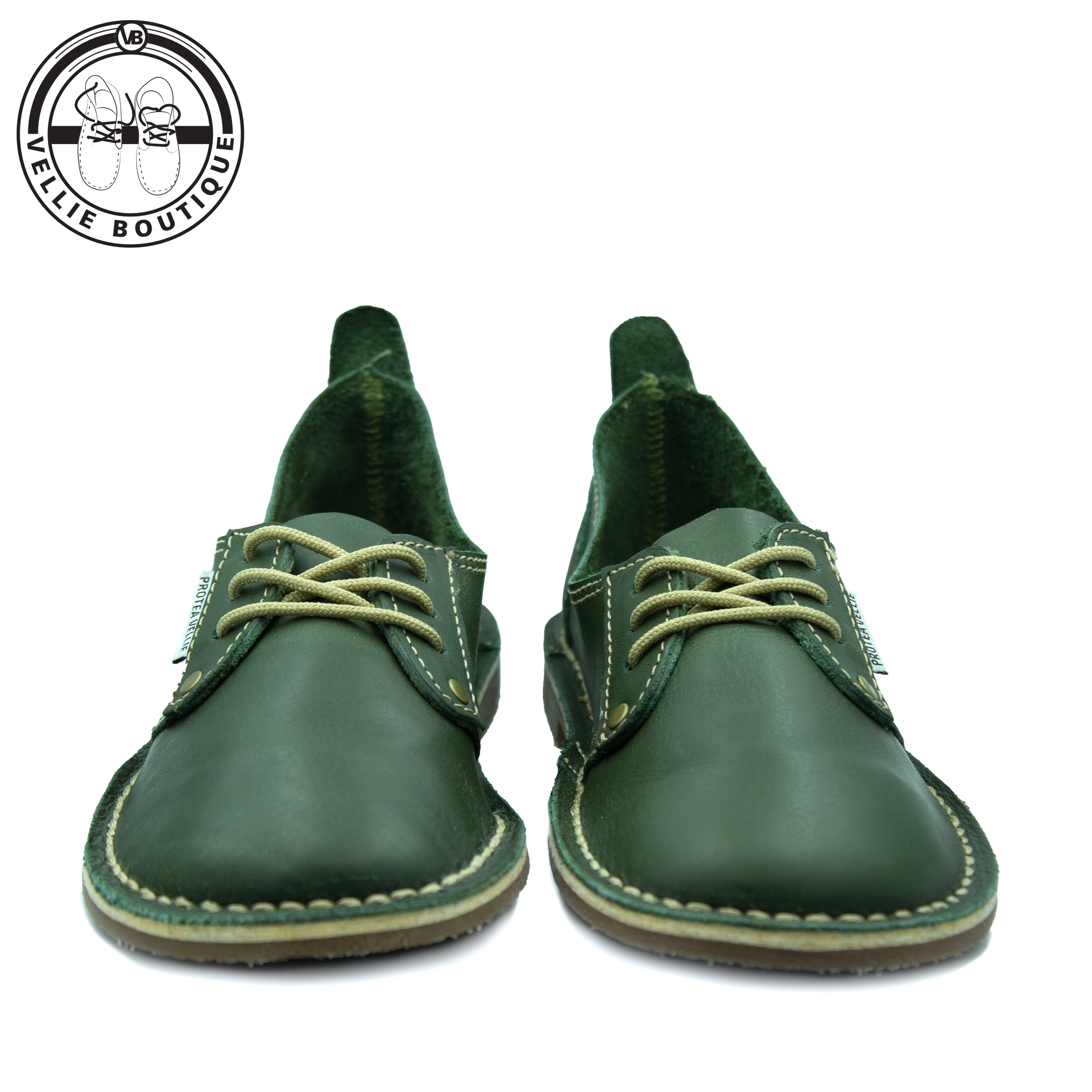 #Protea Kamieskroon (Moss Green)