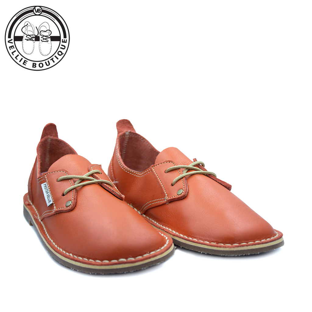 #Protea Kamieskroon (Orange) [670001]