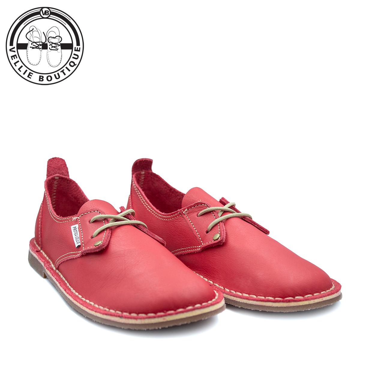 #Protea Kamieskroon (Texas Red)