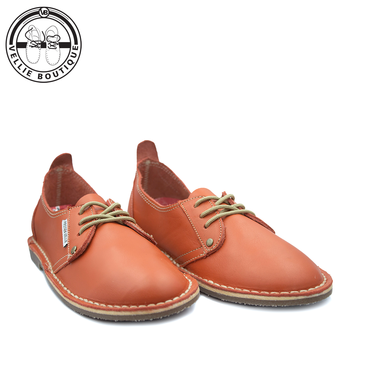 #Protea Loerie (Orange) [660001]