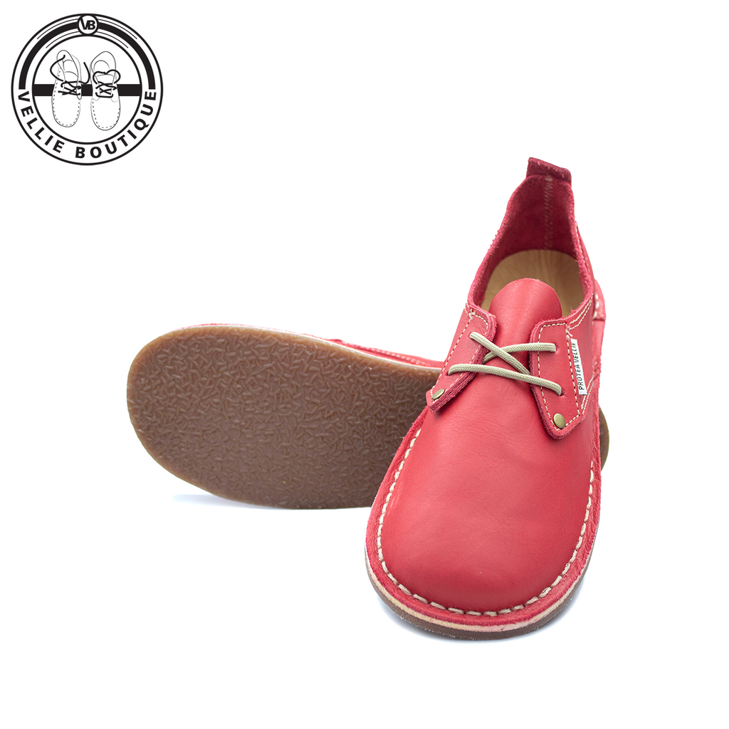 #Protea Kamieskroon (Texas Red)