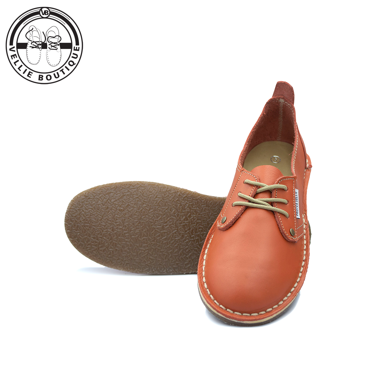 #Protea Loerie (Orange) [660001]
