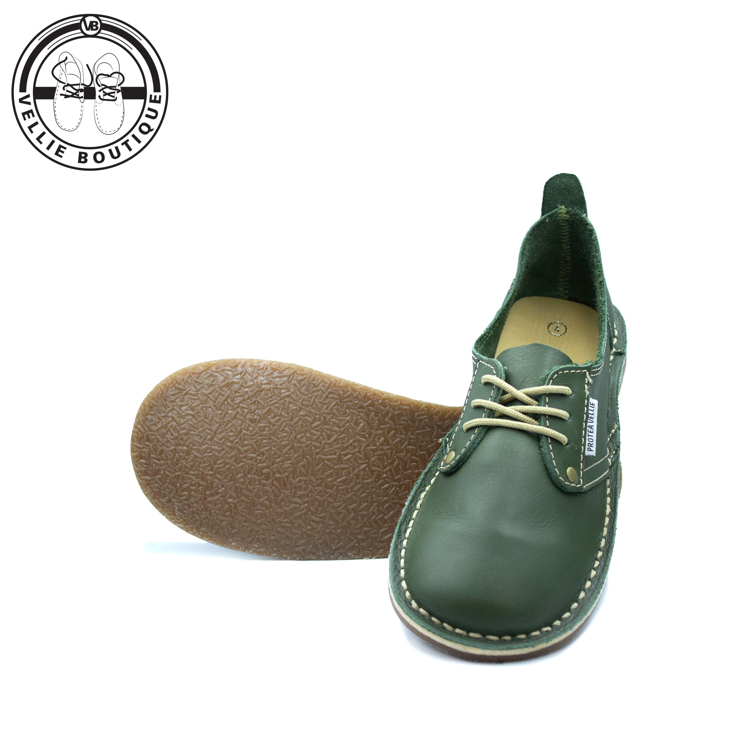 #Protea Kamieskroon (Moss Green)