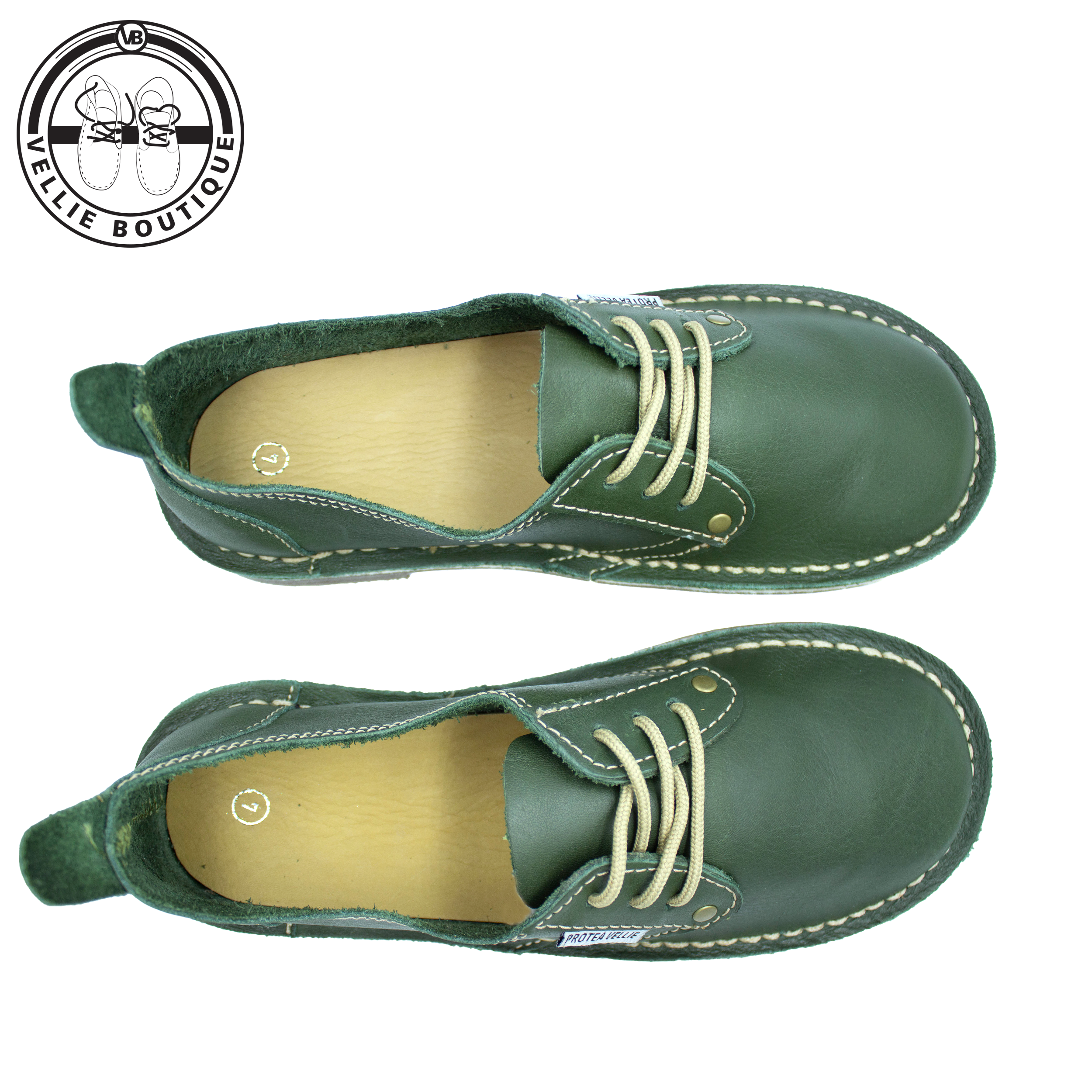 #Protea Kamieskroon (Moss Green)