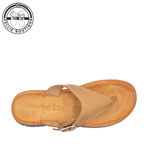 Angelsoft Kim (Tan Honey) [1876]