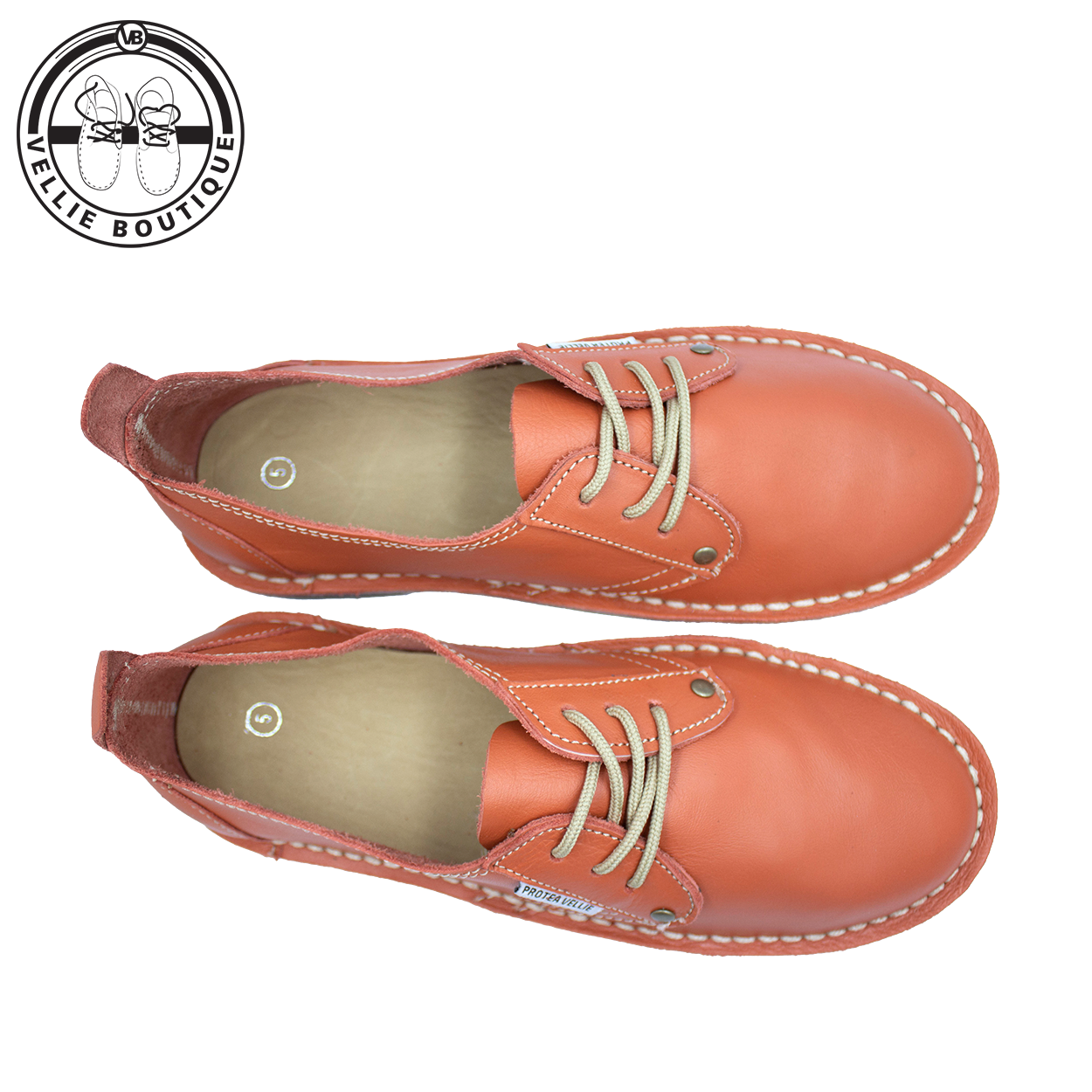 #Protea Loerie (Orange) [660001]