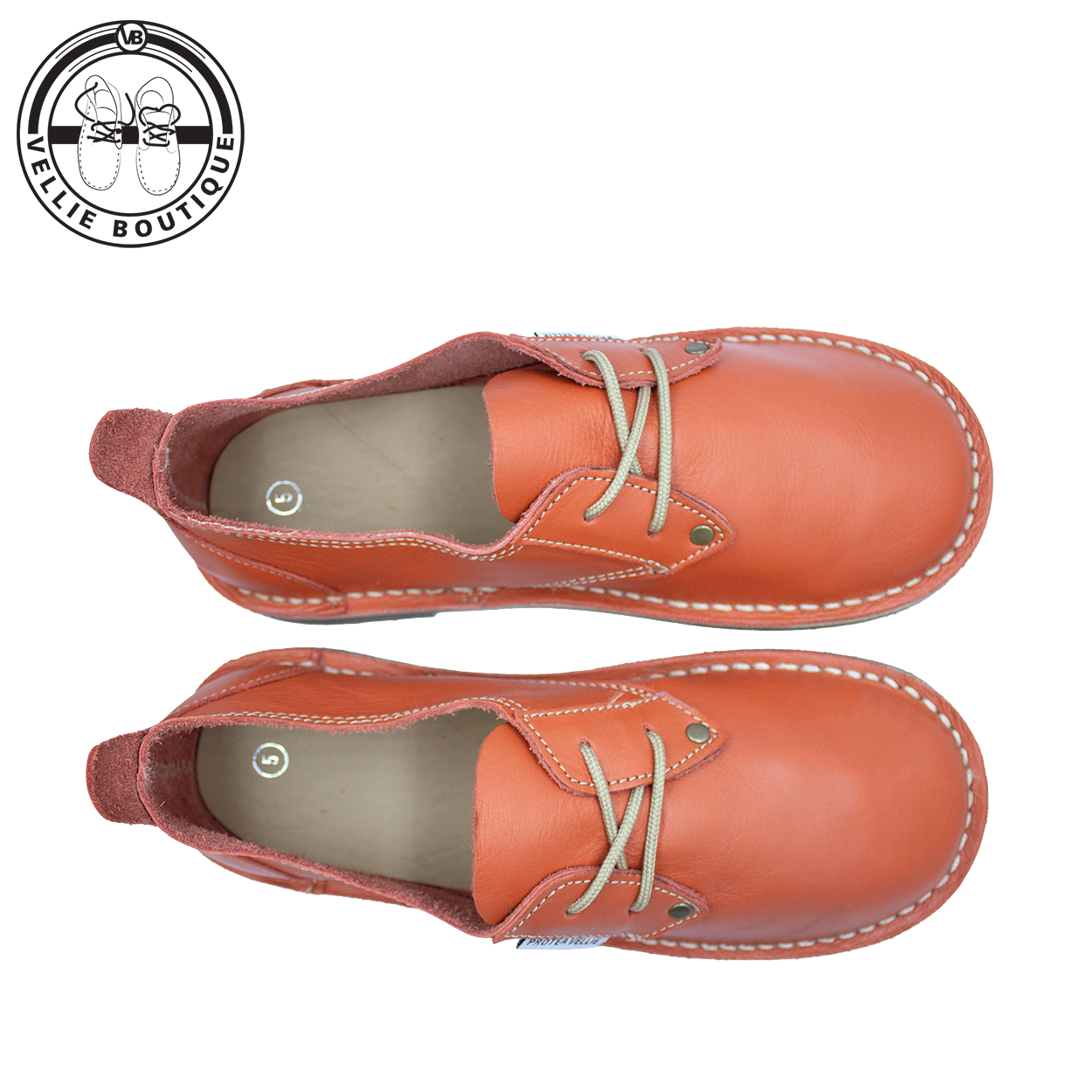 #Protea Kamieskroon (Orange) [670001]