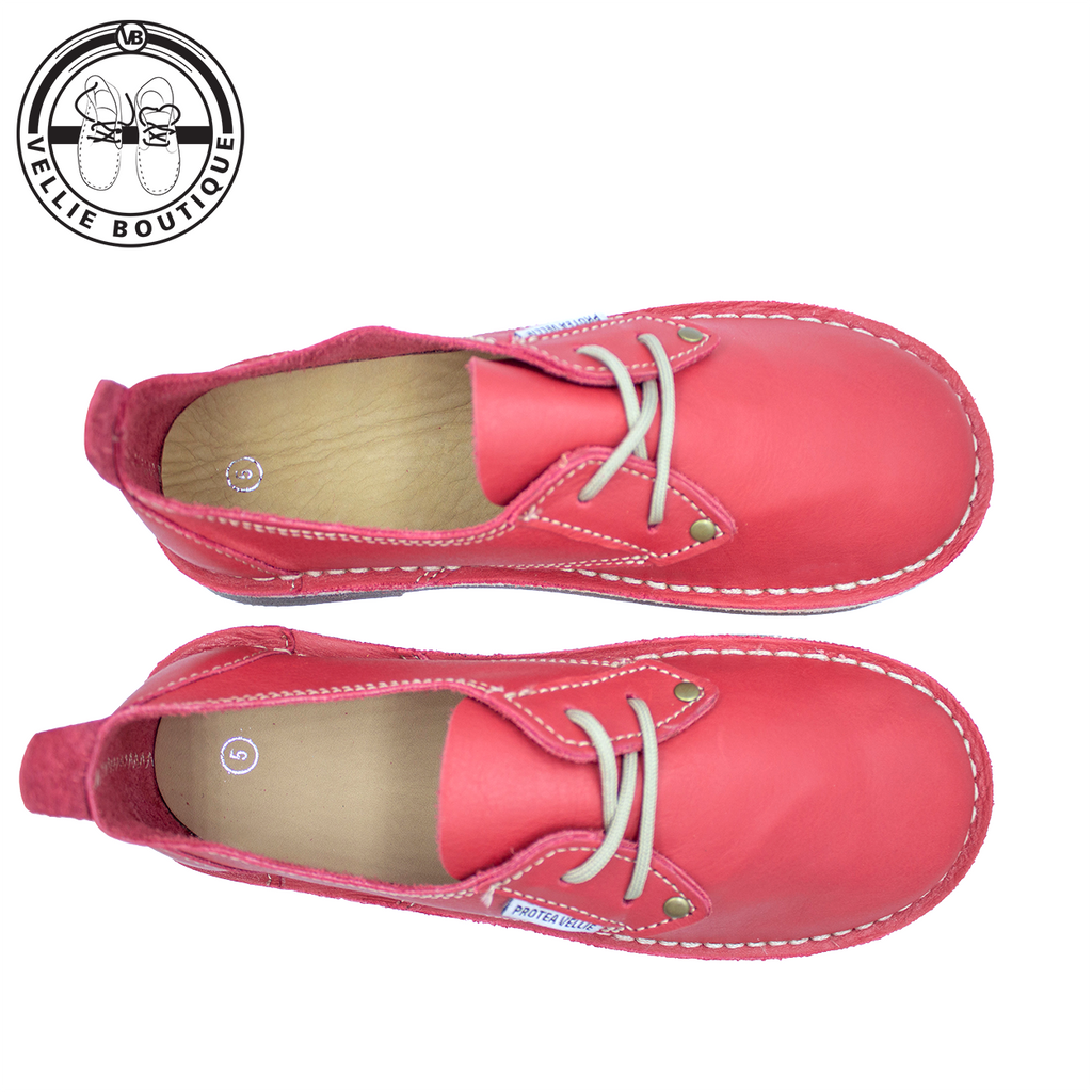 #Protea Kamieskroon (Texas Red)