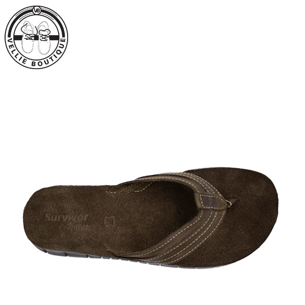 Survivor Brad-Dark (Chocolate) [1892]